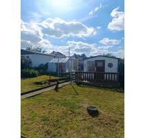 pflegeleichter Kleingarten - 50,00 EUR Kaltmiete, ca.  0,00 m² in Riesa (PLZ: 01587) Neuweida