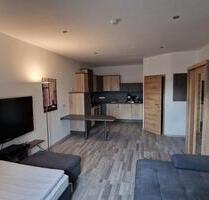 Modernes und vollmöbliertes Einzimmerappartement - für Pendler - Uslar