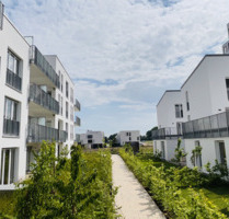 Gemütliche 2-Zimmer-Wohnung mit Balkon - Wolfsburg Almke