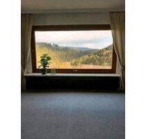 Ferienwohnung mit Bergblick, 72qm, im Oberharz, ruhige Lage ab - Clausthal-Zellerfeld Wildemann