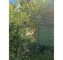 Gartengrundstück zu verpachten - 50,00&nbsp;EUR Kaltmiete, ca.&nbsp; 0,00&nbsp;m&sup2; in Offenbach an der Queich (PLZ: 76877)