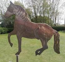 Resthof m. 2 Nebengebäuden, landwirtschaftliche Nutzflächen - Südbrookmerland