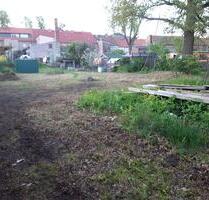 Haus m. gr. Grundstück Stadtmitte Wertanlage Rendite - Schorfheide
