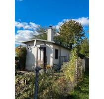 Pachtgarten für Naturliebhaber abzugeben - Penig