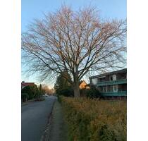 32qm 1 Zimmer Wohnung Oststeinbek - Ahrensburg