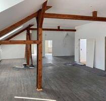 Dachgeschoss Loft Wohnung mit Dachterrasse - Zachenberg