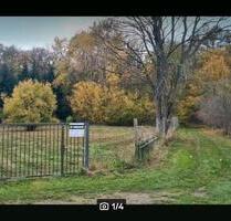 Freizeitgrundstück, Tinyhous, Garten, Wiese, Streuobstwiese - Putlitz