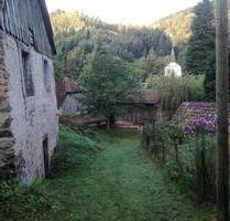 Bauernhaus mit vielen Nebengebauden im Nationalpark Hochvogesen - Rockenhausen