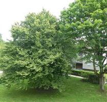 2-Zimmer-Wohnung in Gelsenkirchen Resser Mark