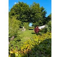 Haus 6000 qm Land 5 Zimmer Pferde Hühnerfarm zu vermieten 85qm - Monschau