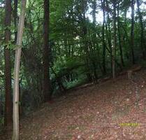 2 Waldgrundstücke - 3,00 EUR Kaltmiete, ca.  0,00 m² in Bad Bibra (PLZ: 06647)