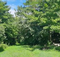 Idyllisches Gartengrundstück für Naturliebhaber in PuchheimMü. - Augsburg Bergheim