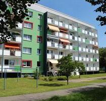1 Raum Wohnung mit Balkon, Aufzug und ebenerdiger Dusche - Döbeln