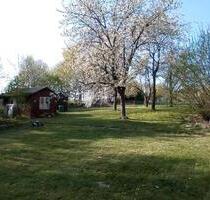 Garten abzugeben MORINGEN - 1.000,00 EUR Kaltmiete, ca.  0,00 m² in Moringen (PLZ: 37186)