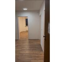 WG-Zimmer 12–20 m², zentrale Lage frisch renoviert.Erst Bezug - Reutlingen Sondelfingen
