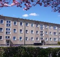 3 Raum Wohnung in Franzburg - 365,00 EUR Kaltmiete, in Franzburg (PLZ: 18461)
