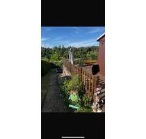 Kleingarten (Pachtgarten) - 300,00 EUR Kaltmiete, ca.  0,00 m² in Thalheim/Erzgebirge (PLZ: 09380)