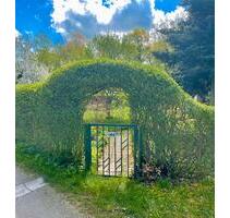 Kleingarten - Garten - Bautzen - Humboldthain