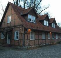 Wunderschöne 3- Zimmer Wohnung im Fachwerkhaus - Winsen (Aller)