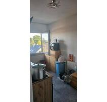Haus zur Miete - 850,00 EUR Kaltmiete, in Gifhorn (PLZ: 38518)