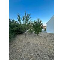 Garten gezäunt - 200,00 EUR Kaltmiete, ca.  0,00 m² in Ulm (PLZ: 89077) Söflingen