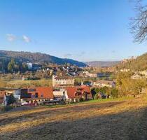 Freizeitgrundstück im Wald mit Terrassen & traumhaften Ausblick - Wertheim