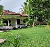 Ferienhaus 200 m vom Meer entfernt in Waikkala Sri Lanka - Baden-Baden Lichtental