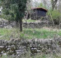 verwilderter Weinberg als Gartengrundstück ; an Rems ; mit Hütte - Waiblingen Bittenfeld