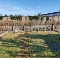 Gemütlicher Kleingarten in Anlage Bodenreform - Limbach-Oberfrohna