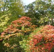 ***WOHLFÜHL(T)RÄUME ZUM GENIESZEN IM WALDSTRASSENVIERTEL*** - Leipzig Mitte