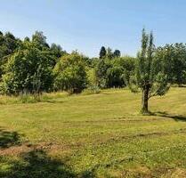 Streuobstwiese Südhang Lage - 8,00 EUR Kaltmiete, ca.  0,00 m² in Schorndorf (PLZ: 73614)