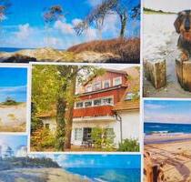 Fewo Prerow Ferienwohnung SEEGRAS Hunde erlaubt nah am Strand - Uetersen