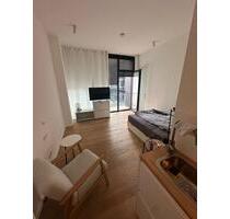 1-Zimmer Wohnung für Oktoberfest - München Au-Haidhausen