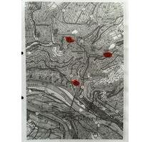 Wald Waldfläche Waldgrundstück Hutungen Ediger-Eller 2732qm - Bullay