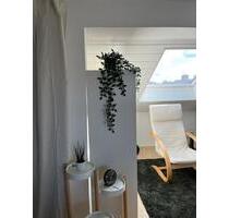 Helle gemütliche 1 Zimmerwohnung - Ingolstadt