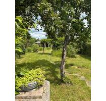 Erholungsgarten zum Pacht - 3.400,00 EUR Kaltmiete, ca.  0,00 m² in Weißwasser (Oberlausitz) (PLZ: 02943)