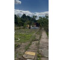 Kleingarten in Frankfurt (Oder) abzugeben - Berlin Lichtenberg