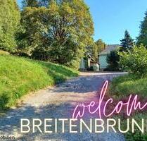 ++ Frisch renovierte 2-Raum-Wohnung in idyllischer Lage im schönen Erzgebirge ++ - Breitenbrunn/Erzgebirge