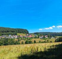 1-2-Familienhaus nahe Erbach (Odw) von privat zu vermieten - Wald-Michelbach