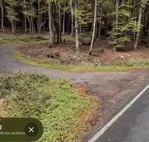 Waldgrundstück bei Mespelbrunn zu verpachten