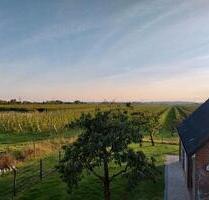 Ferienwohnung Wohnen auf Zeit im Alten Land (3.1.-31.3.26) - Hollern-Twielenfleth