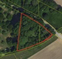 Waldgrundstück Forstfläche Gemarkung Sünching - Mötzing