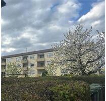 3,5 - Zimmer Wohnung zu Vermieten HOLZGERLINGEN - Sindelfingen