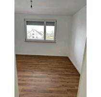 Moderne 3,5 Zimmer Wohnung Stilvoll renoviert in Top Zustand - Laichingen