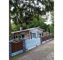 Charmantes Holzhaus +Terrasse+ Erstwohnsitz - Gifhorn