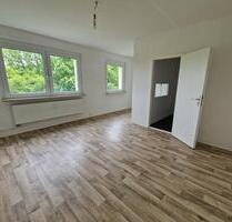 Schnuckelige 1-Zimmer-Wohnung zum kleinen Preis - Neubrandenburg Datzeberg