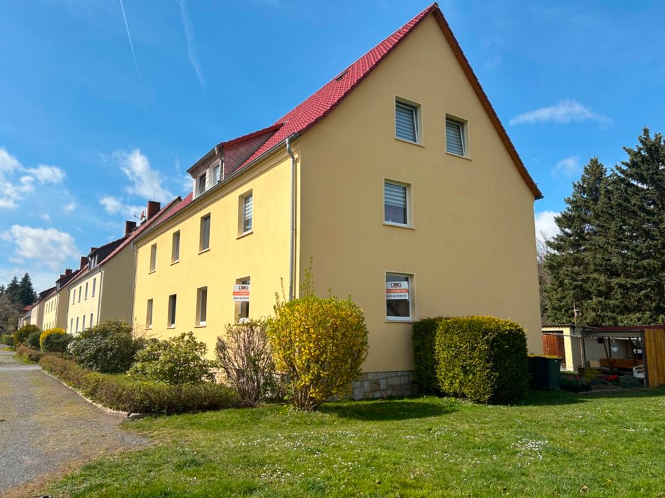 3 Zimmer Wohnung in Berggießhübel - Bad Gottleuba-Berggießhübel