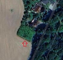 Grundstück 1000 qm verkaufe - 50.000,00 EUR Kaufpreis, in Jördenstorf (PLZ: 17168)