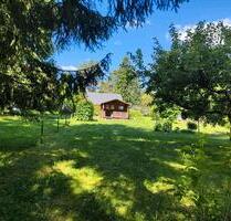 Wiese mit Hütte in Aidlingen - 2.500,00 EUR Kaltmiete, ca.  0,00 m² in Nufringen (PLZ: 71154)