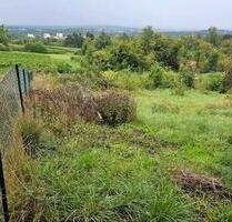 Garten in Wi-Freudenberg - 1.400,00 EUR Kaltmiete, ca.  0,00 m² in Idstein (PLZ: 65510)